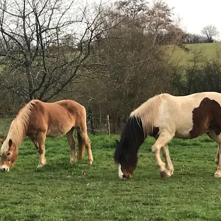 Holiday home Familial Restaure En Pleine Nature Avec Terrasse, Proche Foret, Ideal Pour Groupes Et Pmr - Fr-1-410-255 *