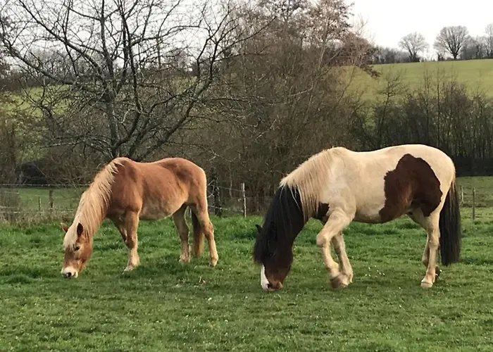 Tatil Evi Familial Restaure En Pleine Nature Avec Terrasse, Proche Foret, Ideal Pour Groupes Et Pmr - Fr-1-410-255 *