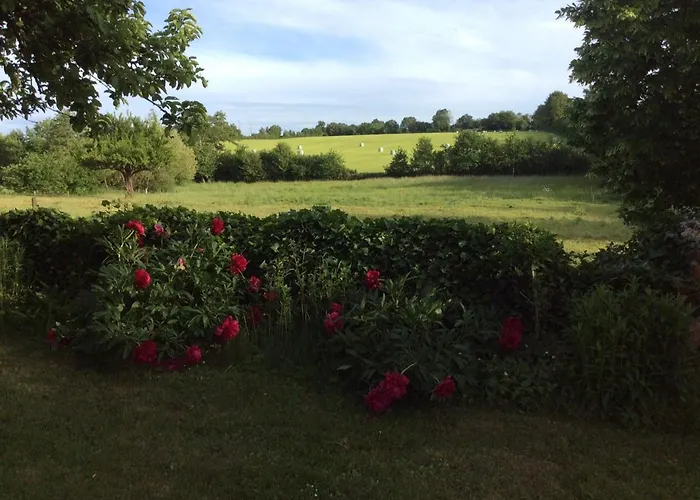 Familial Restaure En Pleine Nature Avec Terrasse, Proche Foret, Ideal Pour Groupes Et Pmr - Fr-1-410-255